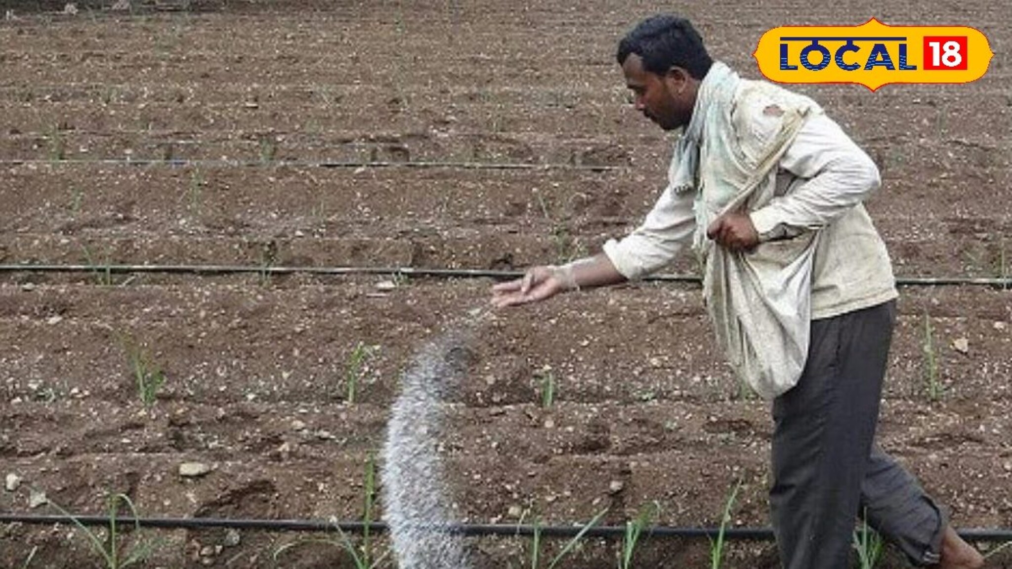 शेतात खत टाकताना पाण्याचे सांभाळा, नाहीतर होईल मोठे नुकसान! पाहा योग्य प्रमाण..