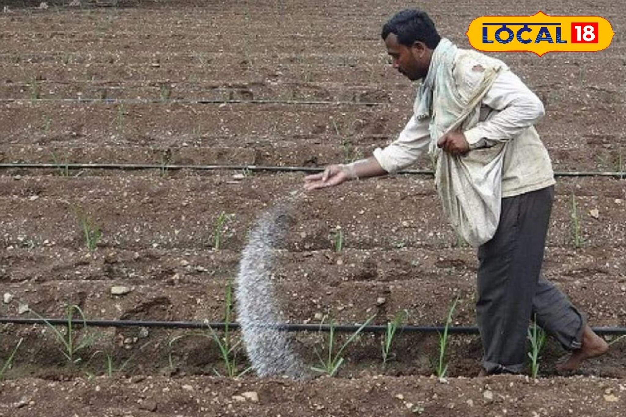 शेतात खत टाकताना पाण्याचे सांभाळा, नाहीतर होईल मोठे नुकसान! पाहा योग्य प्रमाण..