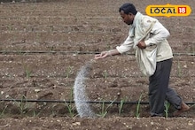 शेतात खत टाकताना पाण्याचे सांभाळा, नाहीतर होईल मोठे नुकसान! पाहा योग्य प्रमाण..