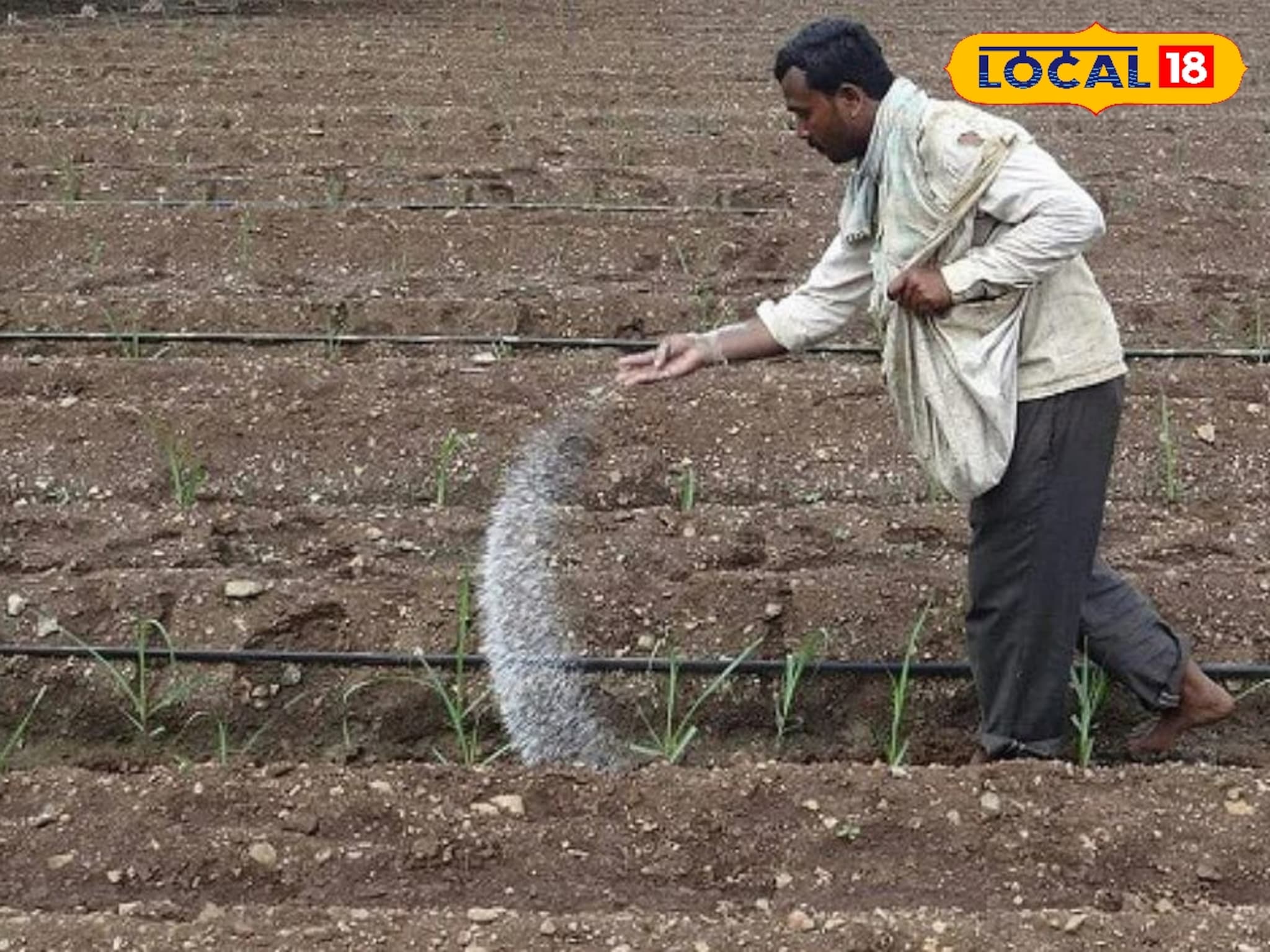 शेतात खत टाकताना पाण्याचे सांभाळा, नाहीतर होईल मोठे नुकसान! पाहा योग्य प्रमाण..