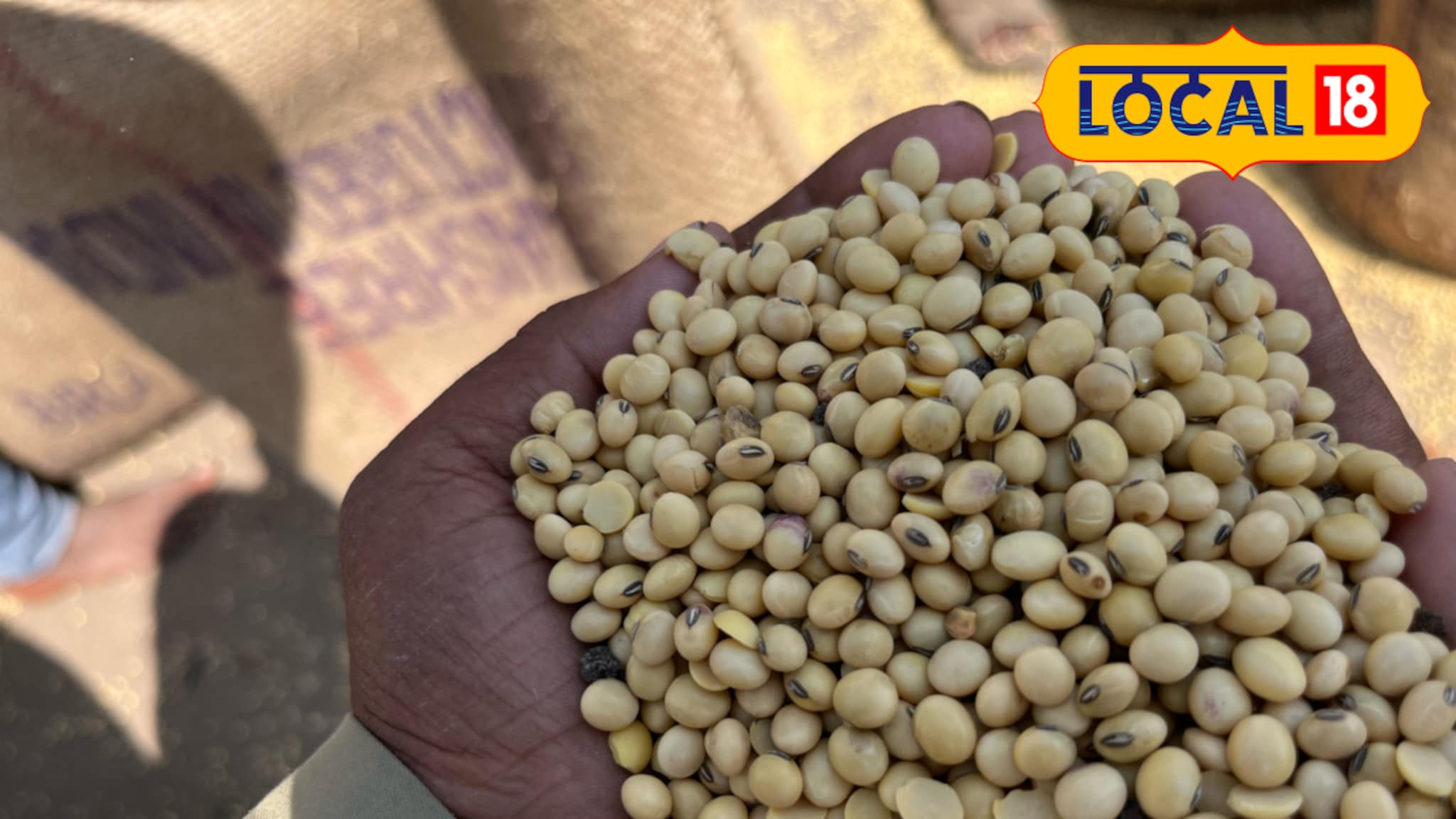 जालन्यात सोयाबीनची कागदोपत्री खरेदी, सरकारने परवानगी दिलेले खरेदी केंद्रच गायब!