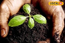 Agriculture News : शेतीला मिळेल नवसंजीवनी, माती सुधारण्यासाठी करा हे 3 नैसर्गिक उपाय, कृषी तज्ज्ञांचा सल्ला
