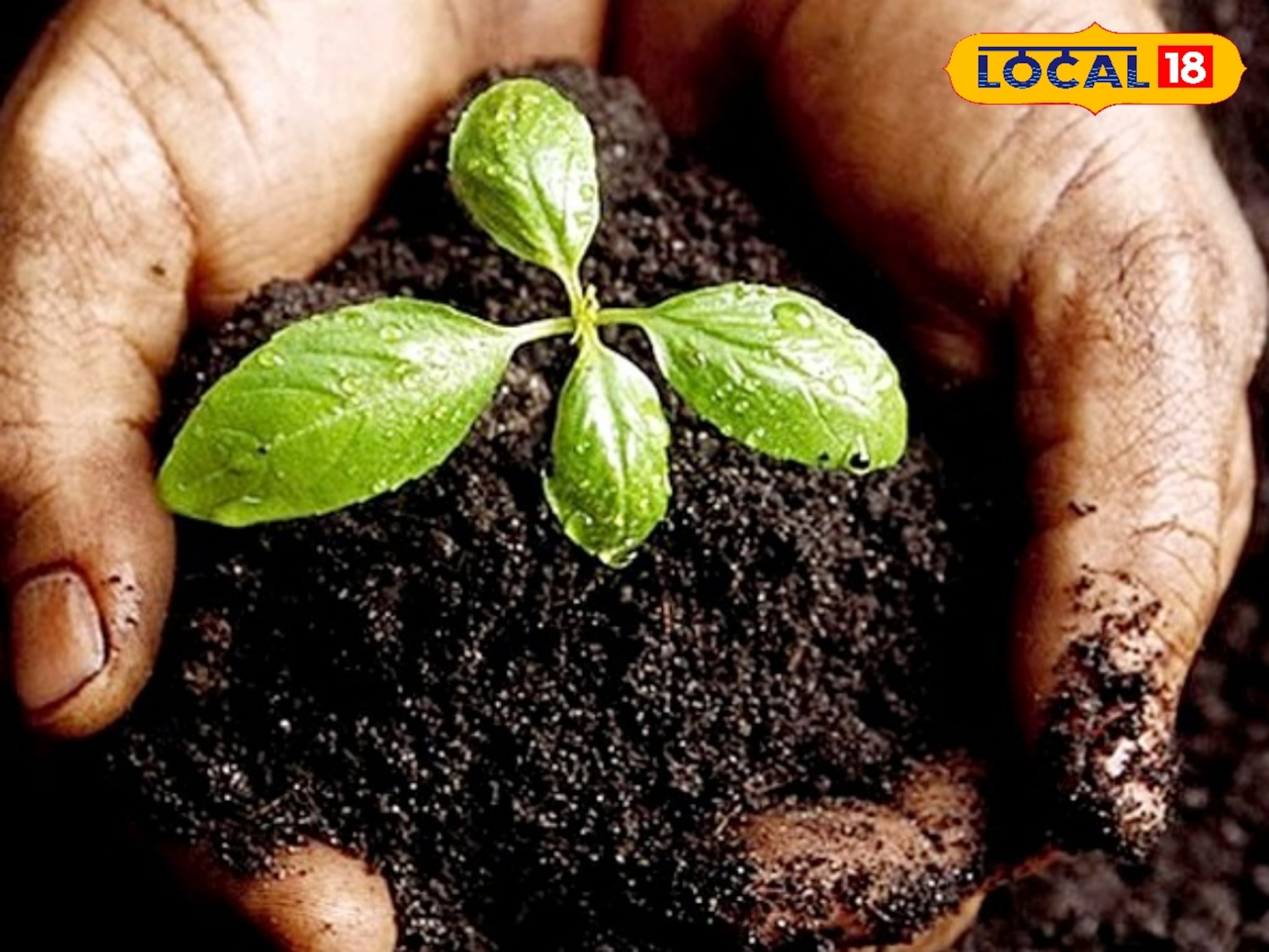 शेतीला मिळेल नवसंजीवनी, माती सुधारण्यासाठी करा हे 3 नैसर्गिक उपाय