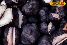 Winter Health Tips : चविष्ट शिंगाडे आरोग्यासाठीही गुणकारी, थायरॉईडसह 'या' समस्येवरही रामबाण