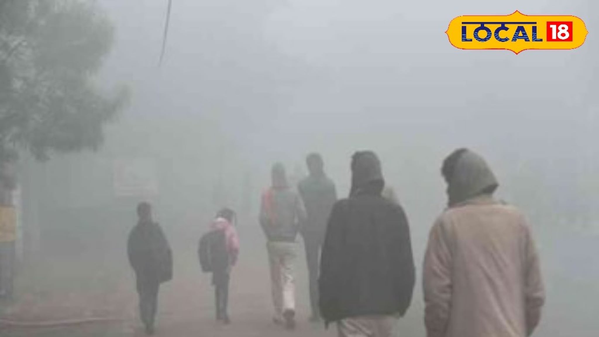 Weather Alert : पुढील 24 तास महत्त्वाचे, महाराष्ट्रात पुन्हा थंडीची लाट, या जिल्ह्यांना अलर्ट