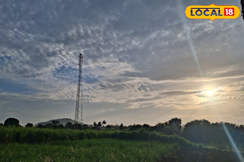 उत्तरेकडील शीत वाऱ्यांमुळे उत्तर महाराष्ट्रात थंडीची लाट कायम आहे. तर दक्षिण मध्य माहाराष्ट्रात पुन्हा अवकाळी संकटाचा धोका वाढला आहे. या कोल्हापूर, सांगली, सातारा भआगात अंशत: ढगाळ आकाशासह पावसाला पोषक हवामान होत आहे. आज 21 नोव्हेंबर रोजी थंडीची लाट काहीशी ओसणार असली तरी, गारठा कायम राहण्याचा अंदाज आहे. पश्चिम महाराष्ट्रातील हवामान अंदाज जाणून घेऊ.