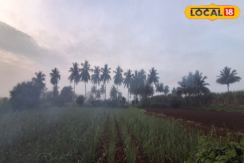 पुणे जिल्ह्यातील थंडीचा कडाका अंशत: कमी झाला असून गुरुवारी 29.7 कमाल आणि 11 अंश सेल्सिअस किमान तापमानाचा पारा नोंदविण्यात आला. आज पुणे जिल्ह्यातील कमाल तापमानात अंशत: वाढ होऊन ते 31 अंशापर्यंत राहील. तसेच किमान तापमानाचा पारा 12 अंश सेल्सिअस राहील. 