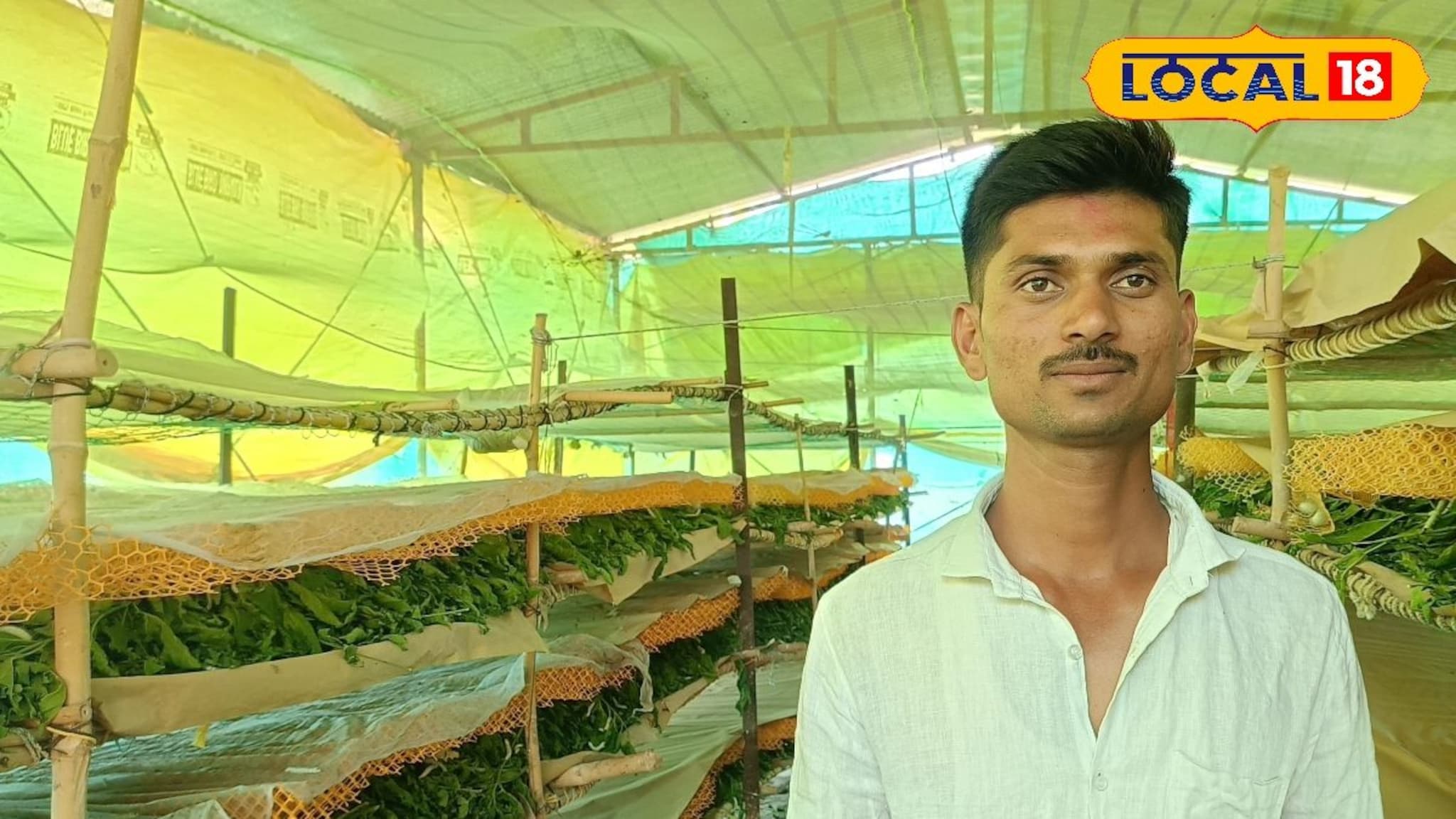 Success Story : डोंगराळ भागातील शेतीत उत्पन्न नव्हते, MPSC ची तयारी करताना विकासने निवडला रेशीमचा मार्ग, वर्षाला 5 लाख कमाई