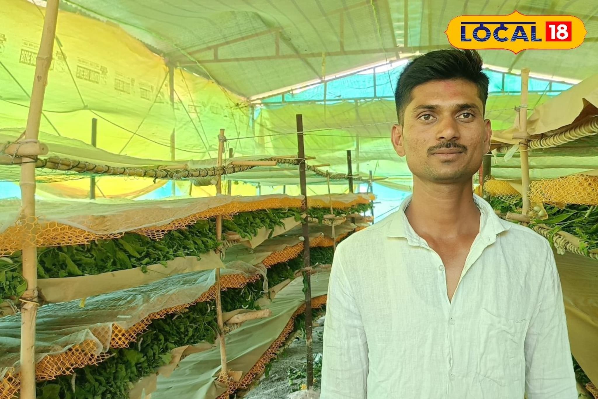 MPSC ची तयारी करताना विकासने निवडला रेशीमचा मार्ग, वर्षाला 5 लाख कमाई