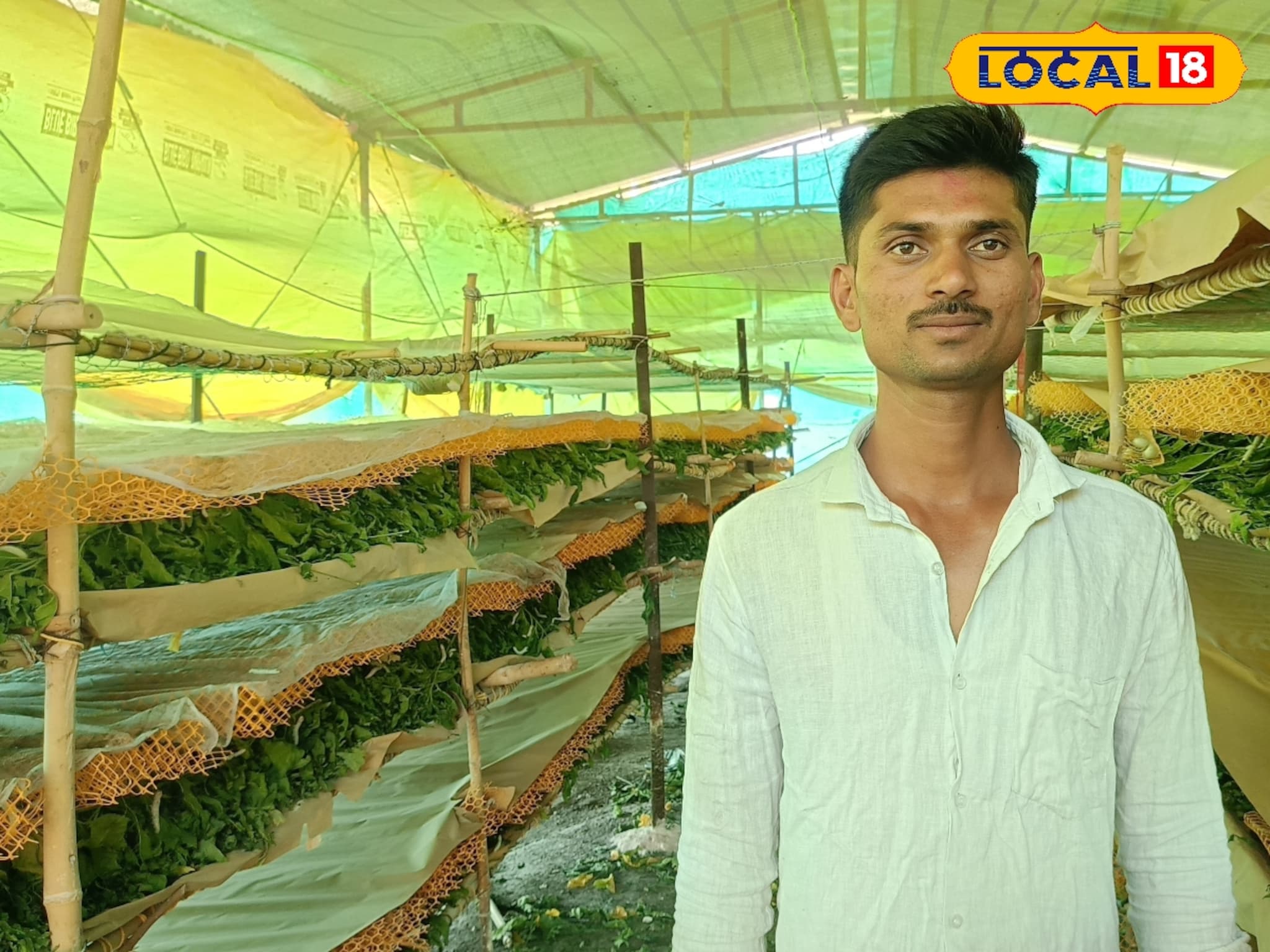 MPSC ची तयारी करताना विकासने निवडला रेशीमचा मार्ग, वर्षाला 5 लाख कमाई