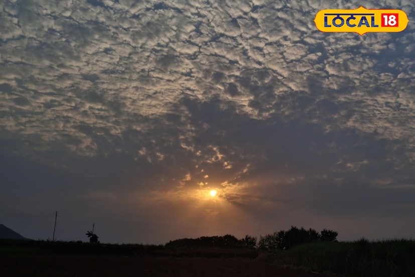 सोलापूर जिल्ह्यात शुक्रवारी कमाल 34.3 तर किमान 17.1 तापमानाची नोंद झाली. आज किमान तापमानात वाढ होऊन ते 19 अंशांवर जाण्याची शक्यता आहे. त्यामुळे थंडीचा जोर कमी राहील. 