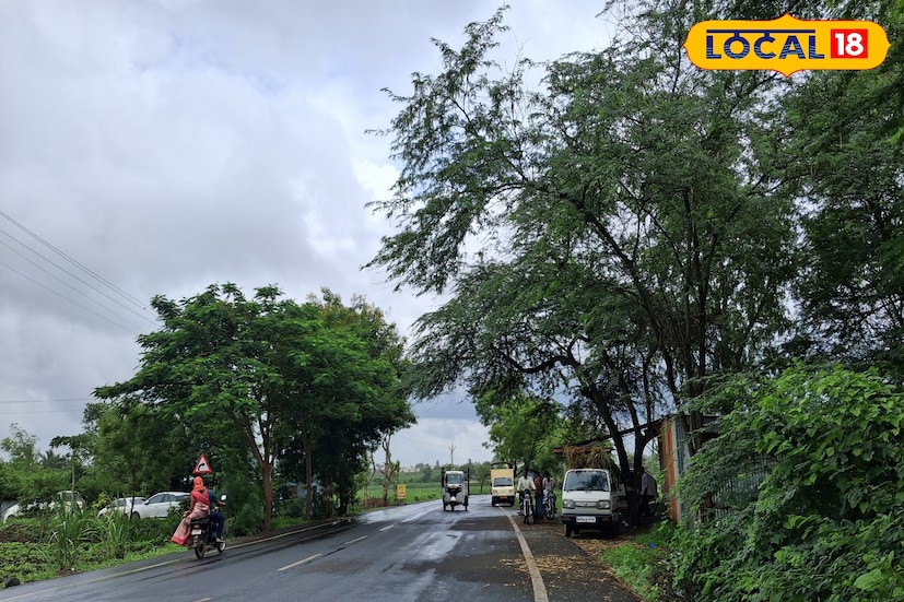 साताऱ्यातील गारठा काहीसा कमी झाला आहे. शुक्रवारी साताऱ्यातील कमाल तापमानाचा पारा 31.7 अंशावर राहिला. तर 13.4 अंश सेल्सिअस किमान तापमान राहिले. आज सातारा जिल्ह्यात किमान आणि कमाल तापमान 16 ते 31 अंश सेल्सिअस दरम्यान राहील. रविवारी या भागात विजांसह पावसाची शक्यता आहे. 