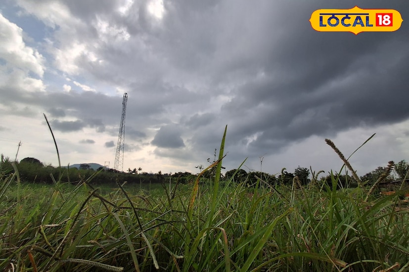 उत्तरेकडील थंड वाऱ्यांमुळे महाराष्ट्रात आलेली थंडीची लाट काहीप्रमाणात कमी झाली आहे. यातच राज्याच्या दक्षिणेकडील भागात ढगाळ आकाशासह पावसाला पोषक हवामान होत आहे. आज 22 नोव्हेंबर रोजी गारठा कायम राहण्याचा तसेच सिंधुदुर्ग, कोल्हापूर, सांगली जिल्ह्यात विजांसह हलक्या पावसाची शक्यता हवामान विभागाने वर्तविली आहे. उत्तरेकडील थंड वाऱ्यांमुळे महाराष्ट्रात आलेली थंडीची लाट काहीप्रमाणात कमी झाली आहे. यातच राज्याच्या दक्षिणेकडील भागात ढगाळ आकाशासह पावसाला पोषक हवामान होत आहे. आज 22 नोव्हेंबर रोजी गारठा कायम राहण्याचा तसेच सिंधुदुर्ग, कोल्हापूर, सांगली जिल्ह्यात विजांसह हलक्या पावसाची शक्यता हवामान विभागाने वर्तविली आहे.