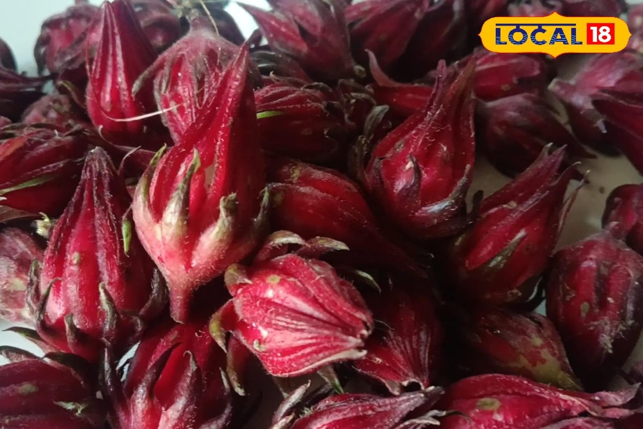 मासिक पाळी ते वजन वाढ, अंबाडीची फुले महिलांसाठी वरदान, फायदे पाहाल तर अवाक्