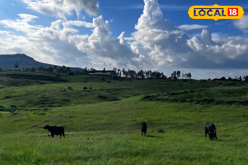 साताऱ्यातील गारठा काहीसा कमी झाला आहे. शनिवारी साताऱ्यातील कमाल तापमान 33.7 अंश तर किमान 16 अंशांवर राहिले. आज साताऱ्यातील हवामानात मोठे बदल जाणवत असून किमान तापमानात वाढ तर कमाल तापमान घटण्याची शक्यता आहे. पुढील 24 तास जिल्ह्यातील काही भागात गडगडाटी पावसाचा इशारा देण्यात आला आहे. 