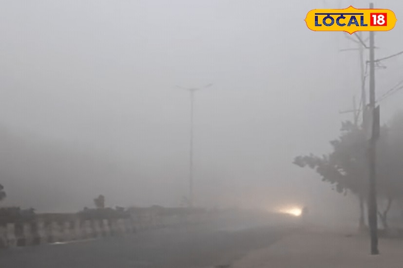 मराठवाड्यातील छत्रपती संभाजीनगर, जालना आणि परभणी जिल्ह्यांमध्ये दिवसभर हवामान कोरडे आणि स्वच्छ राहण्याचा अंदाज आहे. सकाळ-संध्याकाळ थंडी जाणवेल, तर दुपारच्या सुमारास उन्हाचा चटका लागणार आहे. मंगळवारी छत्रपती संभाजीनगरमध्ये कमाल तापमान 32 अंश सेल्सिअसपर्यंत जाईल, तर किमान पारा 14 अंश सेल्सिअस राहणार आहे. तसेच तापमानात घट झाल्यामुळे जालन्यात थंडी कमी असणार आहे.