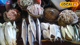 मासे खायचे तर मोठेच! सरकारचा नवा आदेश, ही चूक महागात पडणार, थेट 5 लाखांचा दंड!