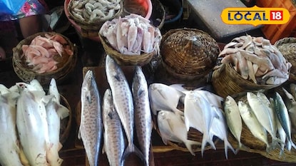 मासे खायचे तर मोठेच! सरकारचा नवा आदेश, ही चूक महागात पडणार, थेट 5 लाखांचा दंड!