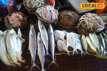 Fishery Rule: मासे खायचे तर मोठेच! सरकारचा नवा आदेश, माशांचा आकार ठरला, विक्रेत्यांना चूक महागात पडणार!