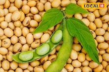 Krushi Market: सोयाबीनच्या दरात पुन्हा उलटफेर, कांदा आणि मक्याला आज काय मिळाला भाव? Video