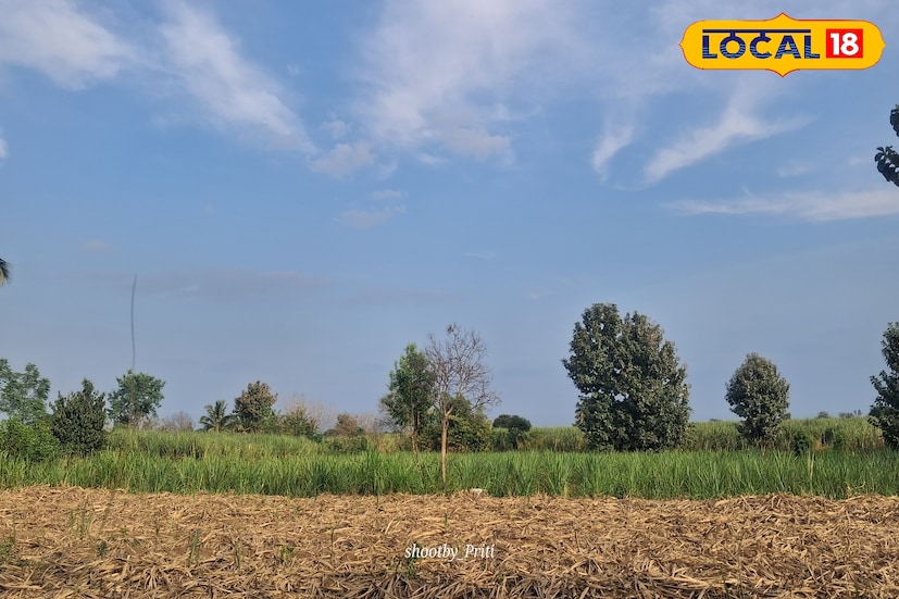 पुणे जिल्ह्यात थंडीचा कडाका अंशत: कमी झाला असून मंगळवारी 31.6 कमाल आणि 17.2 अंश सेल्सिअस किमान तापमानाची नोंद झाली. आज कमाल तापमान 31 तर किमान 17 अंशांवर राहील. त्यामुळे गारठा कमी राहणार असून ऐन थंडीत उकाडा जाणवणार आहे.