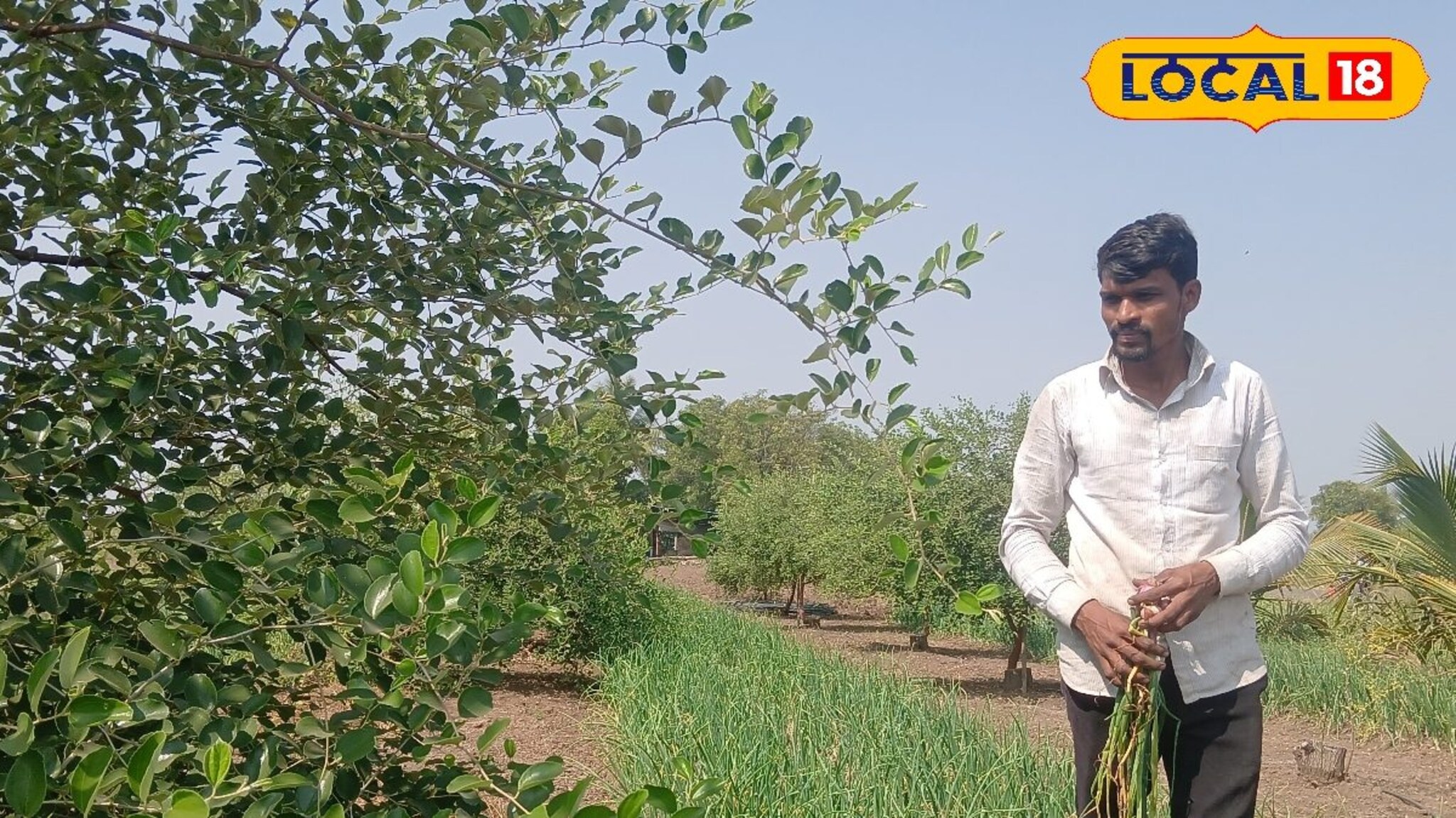 Success Story : बारावीपास शेतकऱ्यानं लावलं डोकं, एका एकरात घेतलं दुहेरी पिक, उत्पन्न मिळणार लाखात