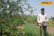 Success Story : बारावीपास शेतकऱ्यानं लावलं डोकं, एका एकरात घेतलं दुहेरी पिक, उत्पन्न मिळणार लाखात