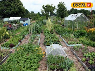 स्मार्ट