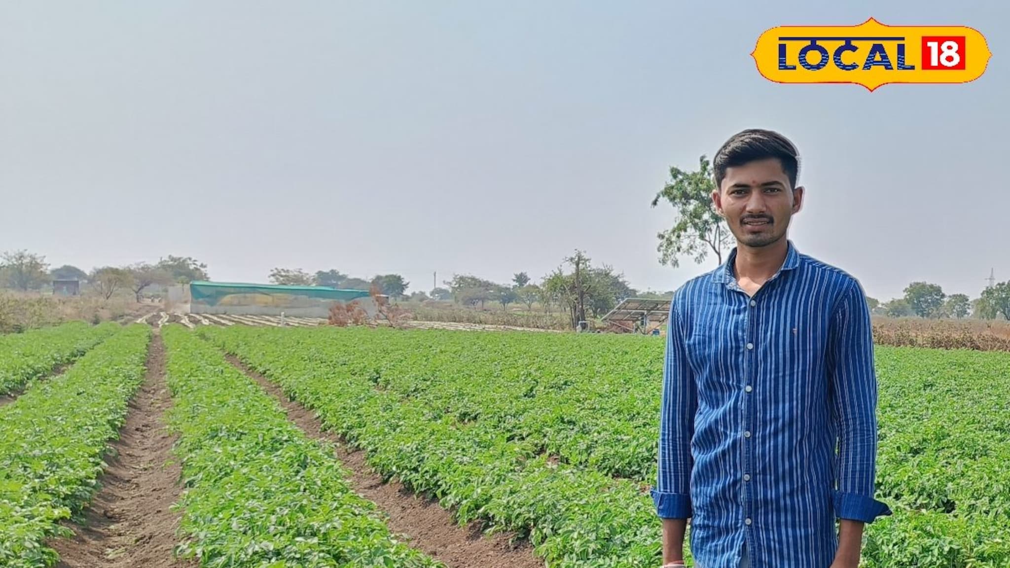 Success story : नोकरी मिळत नसल्यामुळे घेतला उलट निर्णय, एका एकरमध्ये केली बटाटा लागवड, 3 लाख नफा