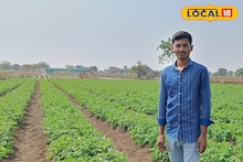 Success story : नोकरी मिळत नसल्यामुळे घेतला उलट निर्णय, एका एकरमध्ये केली बटाटा लागवड, 3 लाख नफा