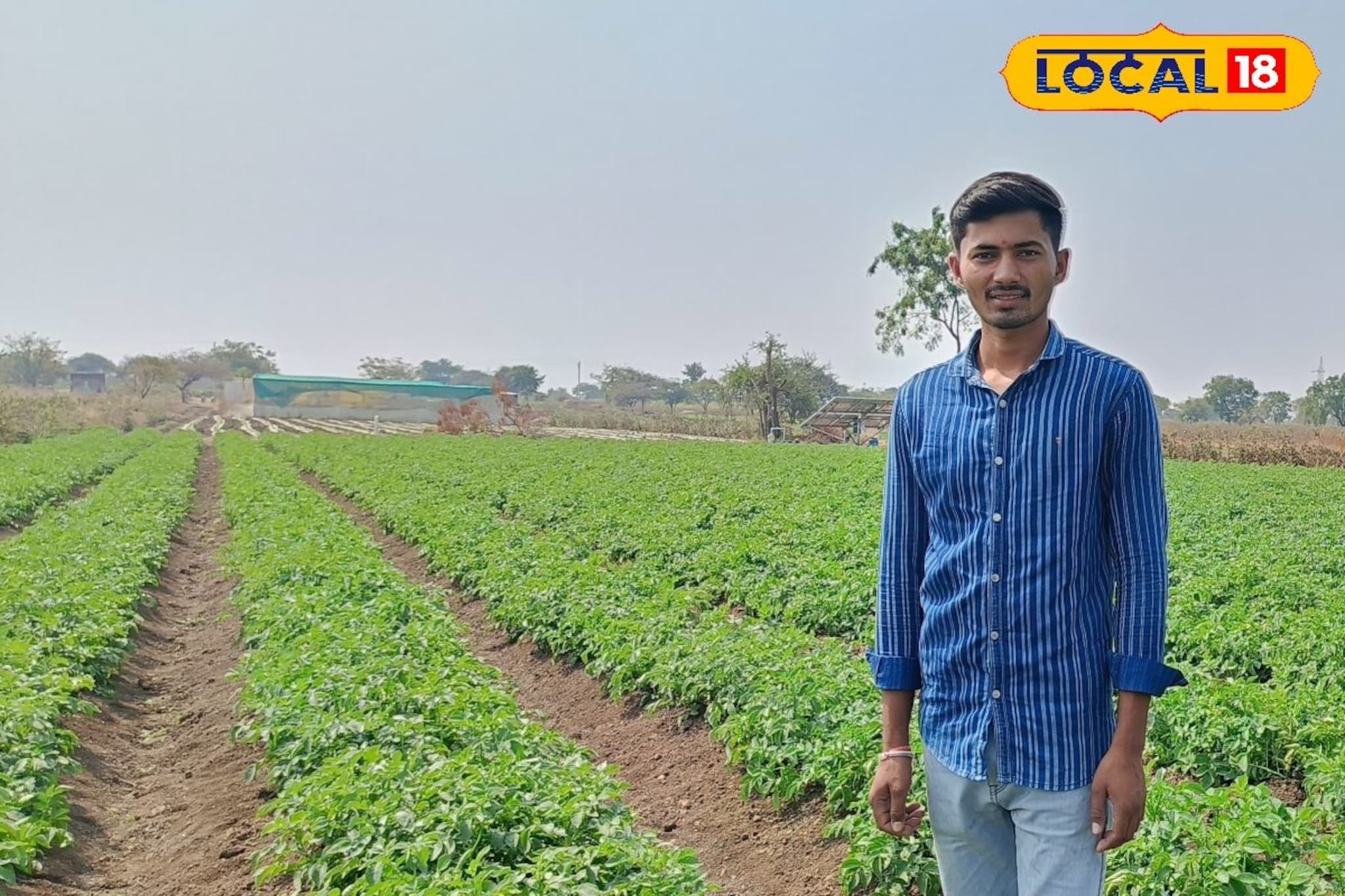 नोकरी मिळत नसल्यामुळे घेतला उलट निर्णय, एका एकरमध्ये केली बटाटा लागवड, 3 लाख नफा