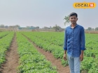 नोकरी मिळत नसल्यामुळे घेतला उलट निर्णय, एका एकरमध्ये केली बटाटा लागवड, 3 लाख नफा