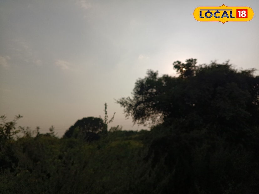 राज्यातील बहुतांश भागांत सध्या तापमानातील अस्थिरता कायम आहे. पुढील काही दिवस धुके, ढगाळ वातावरण आणि थंडीत होणारे चढ-उतार कायम राहण्याची शक्यता आहे. तापमानातील अचानक घट–वाढीमुळे आरोग्यावर परिणाम होऊ नये यासाठी सावधगिरी बाळगण्याचा सल्ला तज्ज्ञांनी दिला आहे.