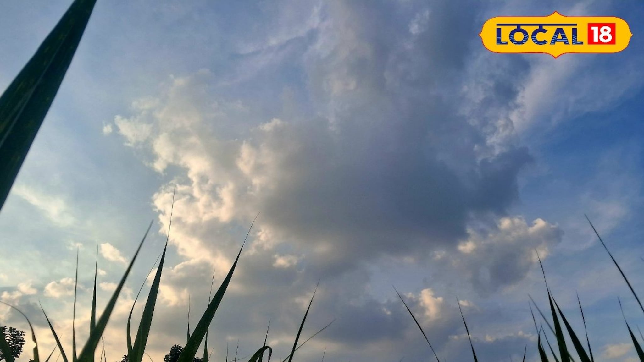 Weather Alert: वारं फिरलं! पश्चिम महाराष्ट्रावर पुन्हा ढग दाटणार, पुणे ते कोल्हापूर आजचं हवामान अपडेट