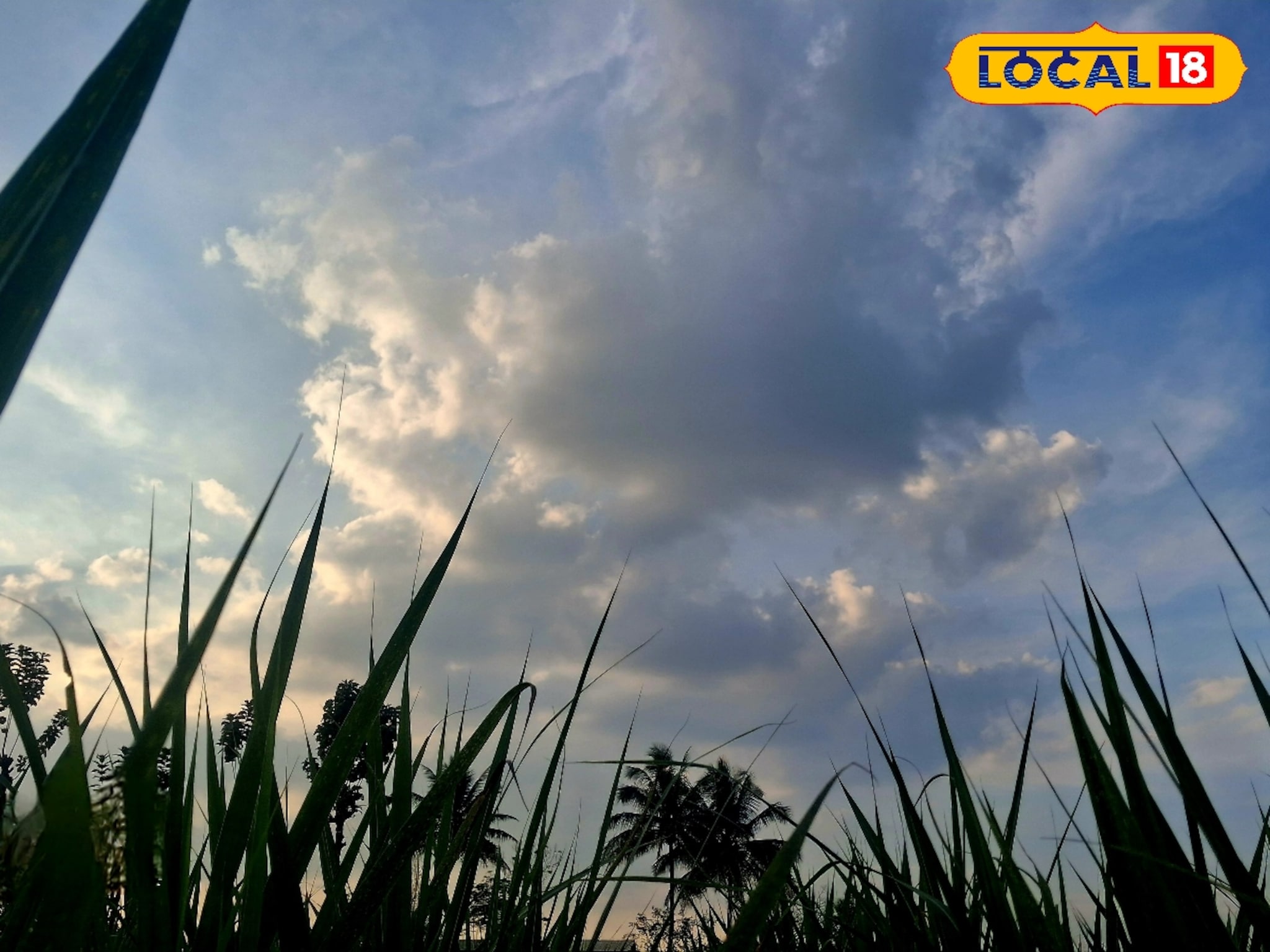 वारं फिरलं! पश्चिम महाराष्ट्रावर पुन्हा ढग दाटणार, पुणे ते कोल्हापूर आजचं हवामान