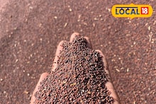 दररोजच्या जेवणाची फोडणी महागणार, मोहरीच्या दरात मोठी वाढ, कारण काय?