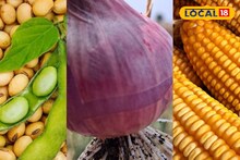 Krushi Market Rate: सोयाबीनला आला भाव, कांदा आणि मक्याची परिस्थिती काय? सध्याचा भाव किती?