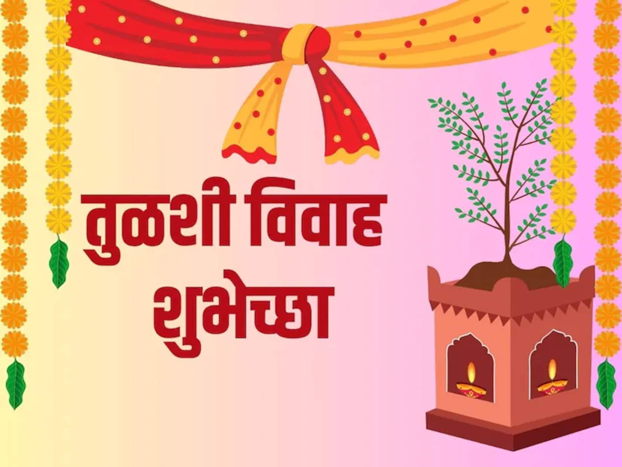 Happy Tulsi Vivah Wishes : दिवस आहे मांगल्याचा, अशा द्या तुळशी विवाहाच्या शुभेच्छा