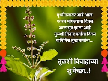 दिवस आहे मांगल्याचा, अशा द्या तुळशी विवाहाच्या शुभेच्छा दिवस आहे मांगल्याचा, अशा द्या तुळशी विवाहाच्या शुभेच्छा