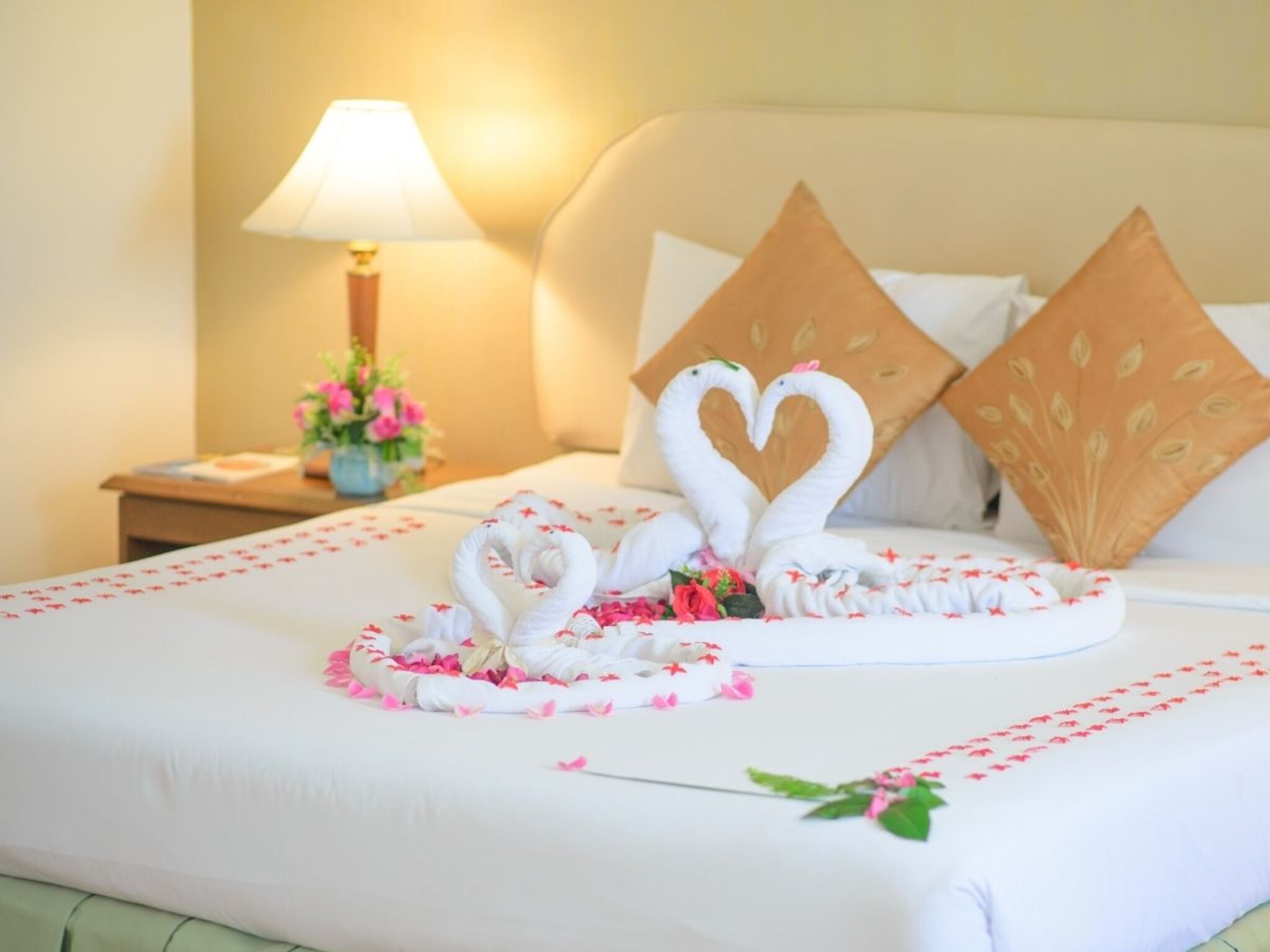 Honeymoon Hotel : हनीमूनसाठी बुक केलेल्या हॉटेल रूममध्ये बेडवर पांढरी चादर का असते? 5 कारणं, कपलला माहिती हवीच