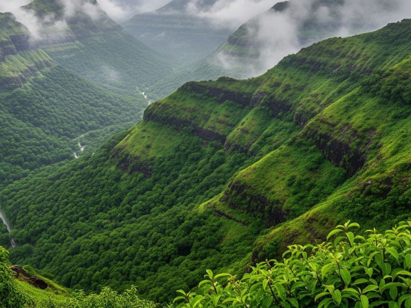  मुंबईहून नाशिककडे जाताना मध्ये इगतपुरी हे सुंदर थंड हवेचे ठिकाण मिळतं. इगतपुरीजवळील भावली धरण परिसर पिकनिकसाठी अतिशय शांत आणि आल्हाददायक आहे. धरणाचे पाणी आणि आजूबाजूचे डोंगर फोटोशूटसाठी आणि निवांत वेळ घालवण्यासाठी उत्कृष्ट आहेत. येथून विपश्यना केंद्र देखील जवळ आहे. हे ठिकाण नाशिकपासून सुमारे 45 किमी. अंतरावर आहे.