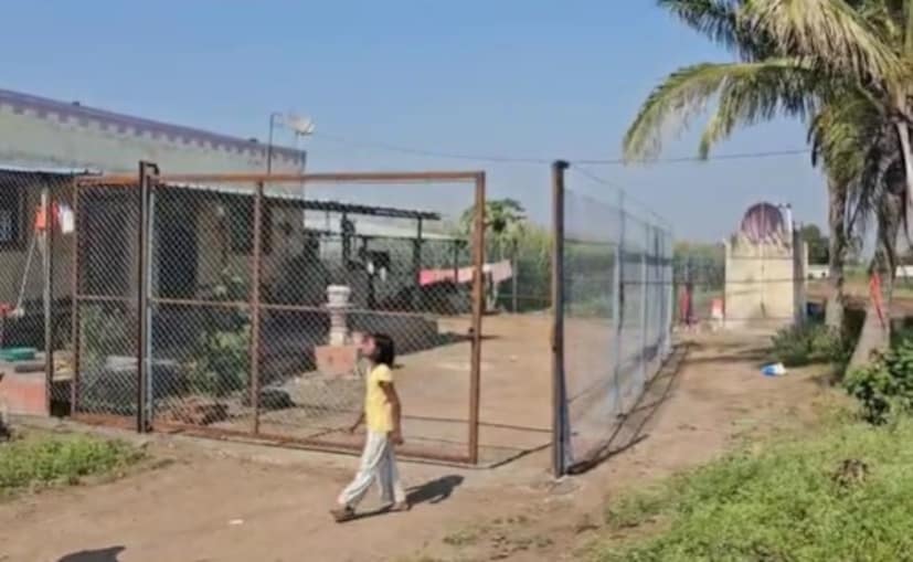  शिरूर तालुक्यातील पिंपरखेड गावच्या महिलांनी तर थेट गळ्यामध्ये टोकदार खिळे असलेला पट्टाच घातलाय. शेतात राबताना बिबट्याने आपली शिकार करु नये, म्हणून महिलांनी टोकदार खिळे असलेला पट्टा गळ्यात घातल्याचं चित्र आहे.