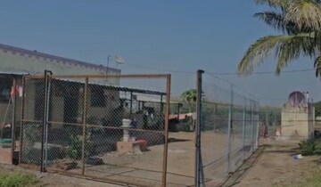 इथे प्राणी नाही तर माणसं राहतात पिंजऱ्यात, पुण्यातील लोकांवर ही वेळ का आली?