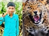 Leopard Attack: दबा धरलेल्या बिबट्याची झडप, दारातून मुलाला फरफटत ऊसात नेलं..