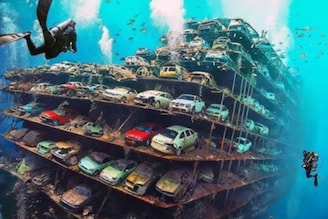 OMG! 1000 पोर्शे, 85 लॅम्बोर्गिनी आणि..; 9000000000 किमतीच्या लक्झरी कार पाण्यात