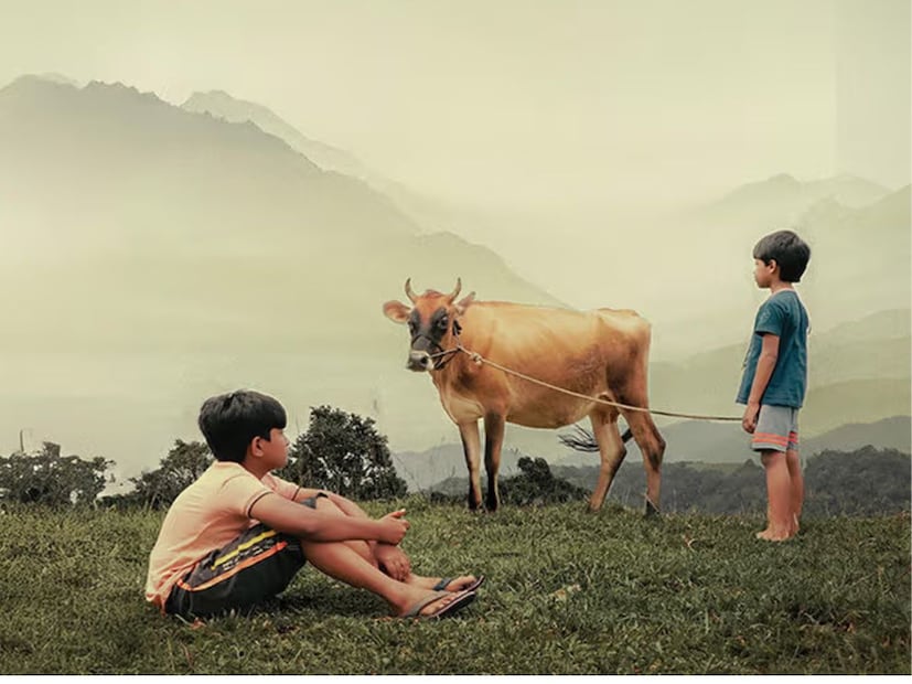  वलवारा : 'वलवारा' या कन्नड सिनेमात कुंदेशी नामक तरुणाची गोष्ट दाखवण्यात आली आहे. संघर्ष करणाऱ्या शेतकरी कुटुंबात जन्मलेल्या या तरुणाचा प्रवास दाखवणाऱ्या या चित्रपटात कौटुंबिक नात्यांचे सुंदर चित्रण करण्यात आले आहे. 14 नोव्हेंबरपासून प्रेक्षकांना हा चित्रपट पाहता येईल.