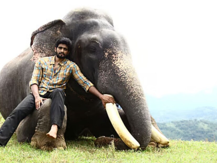  कुमकी 2 : 'कुमकी' या तामिळ चित्रपटाचा 'कुमकी 2' हा सीक्वल आहे. प्रभू सोलोमन यांनी हा चित्रपट दिग्दर्शित केला आहे. या चित्रपटात मथियाझगन, अर्जुन दास आणि श्रीता राव मुख्य भूमिकेत आहेत.