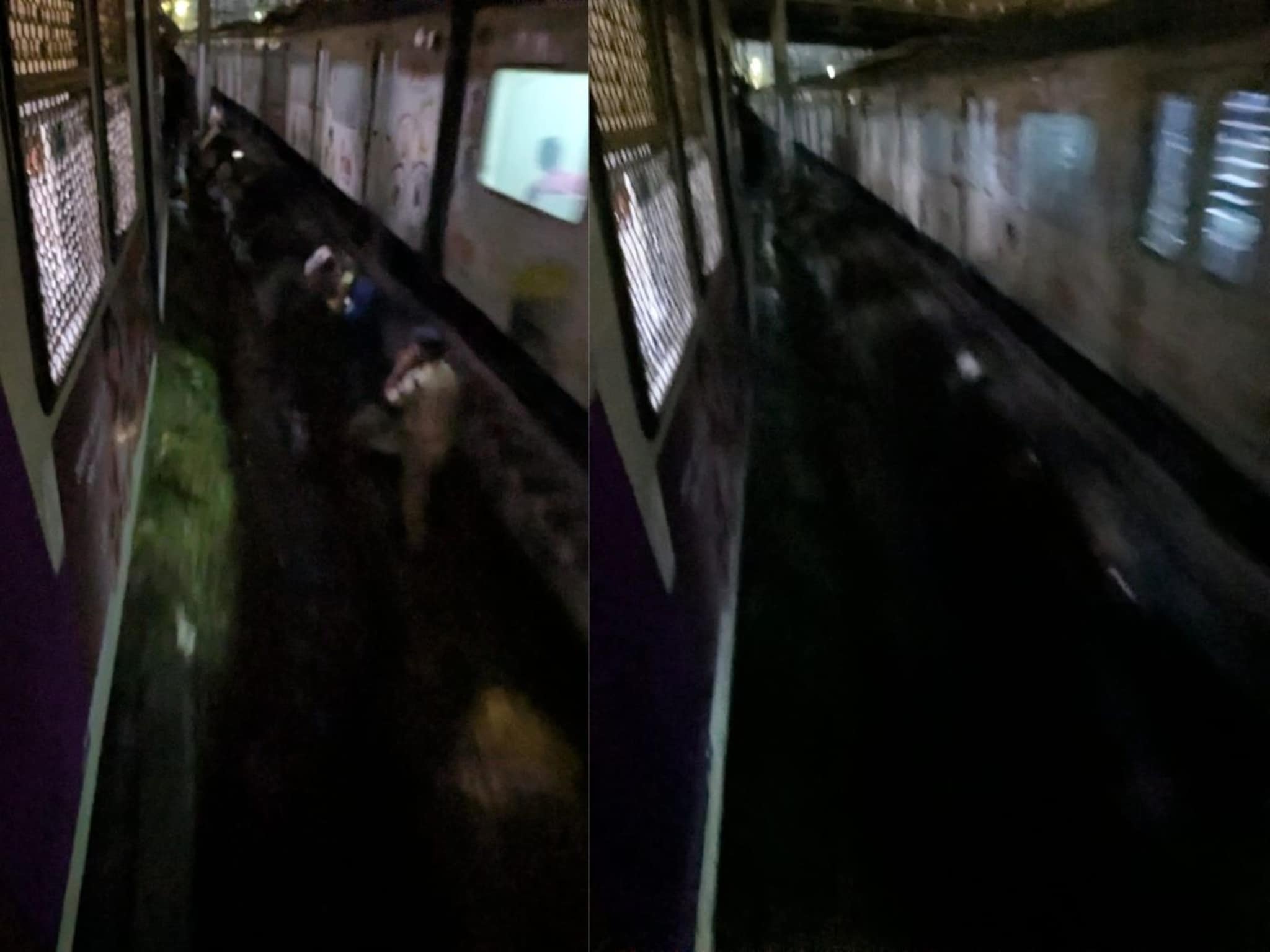 मुंबई लोकलला मोठा अपघात, खचाखच भरलेल्या  रेल्वेतून 4 प्रवाशी पडले