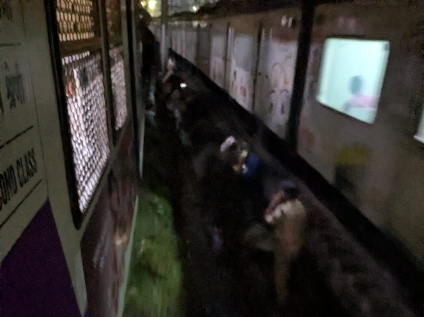 मध्य रेल्वेच्या छत्रपती शिवाजी महाराज टर्मिनस, भायखळा, दादरसह सर्वच रेल्वे स्थानक चाकरमान्यांची प्रचंड गर्दी झाली होती. प्रत्येक स्टेशनवर पाय ठेवायलाही जागा नव्हती. 