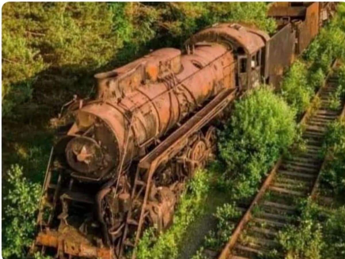 फोटो सौजन्य : Facebook/The Truth